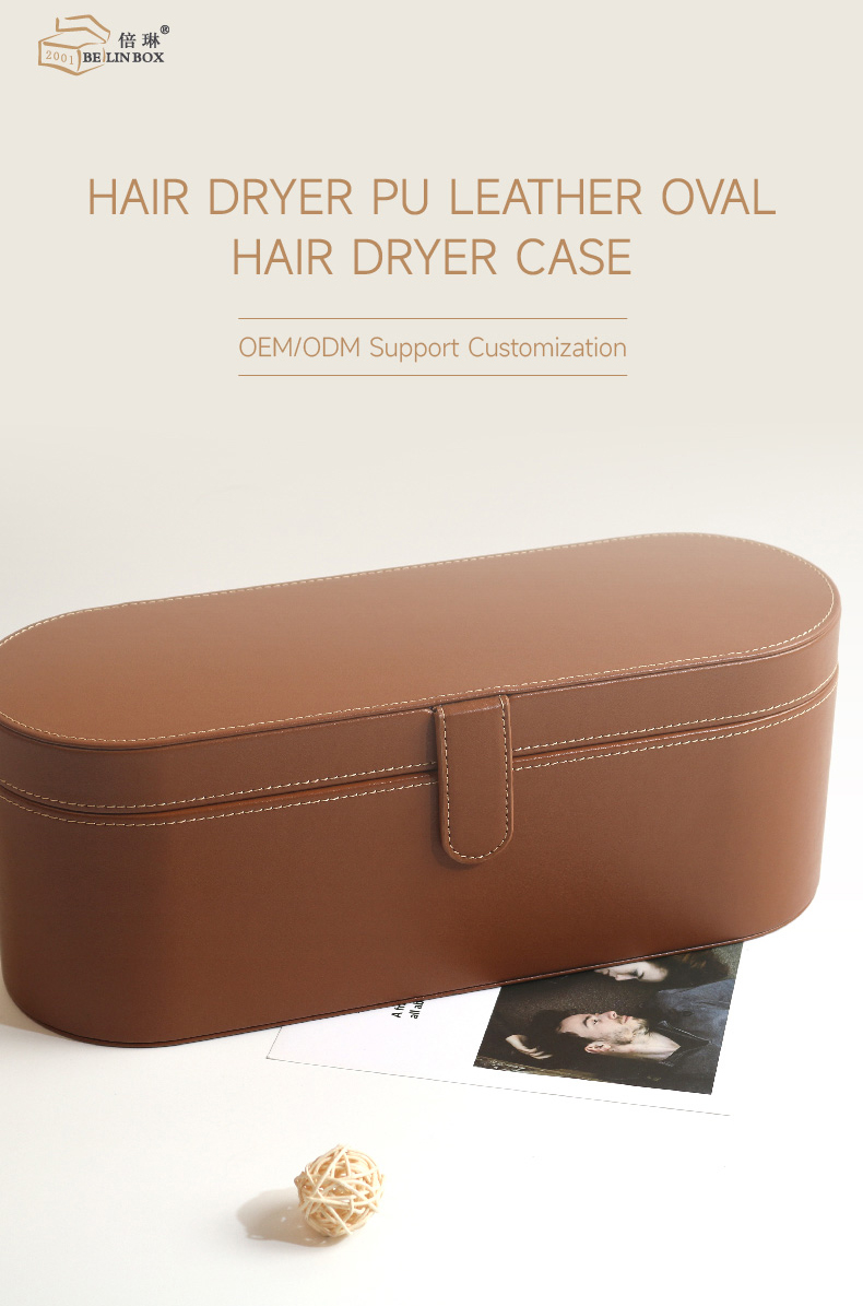dyson storage case1