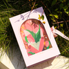 Gift Boxes for Present